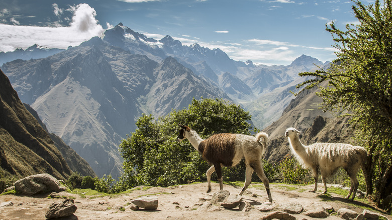 Sacred Valley of the Incas, Cusco, Peru