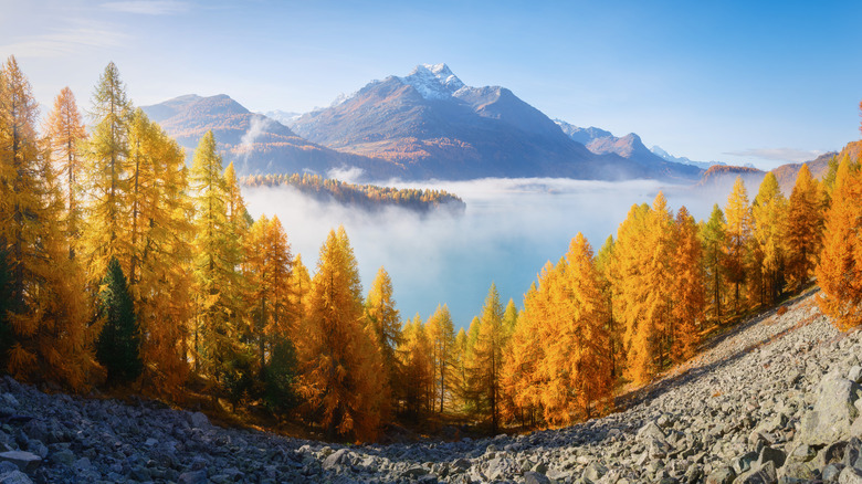 Autumn landscape in Switzerland.