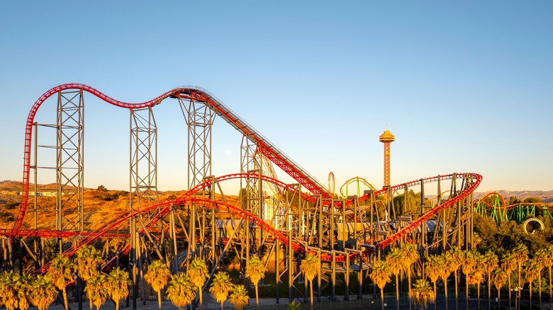 roller coaster in six flags amusement park