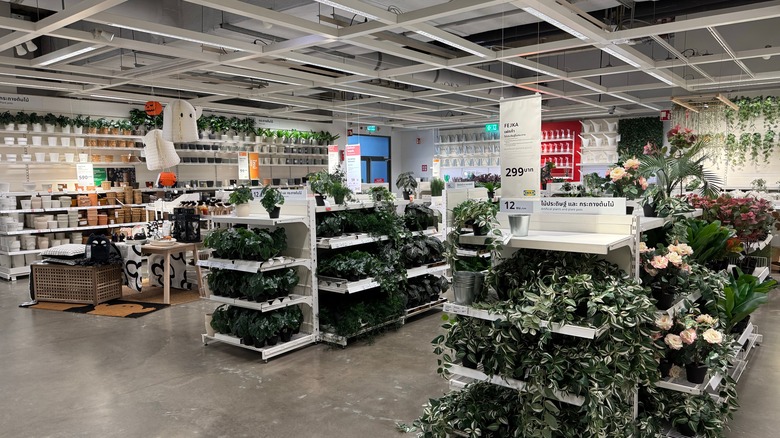 Ikea interior with plants and pots