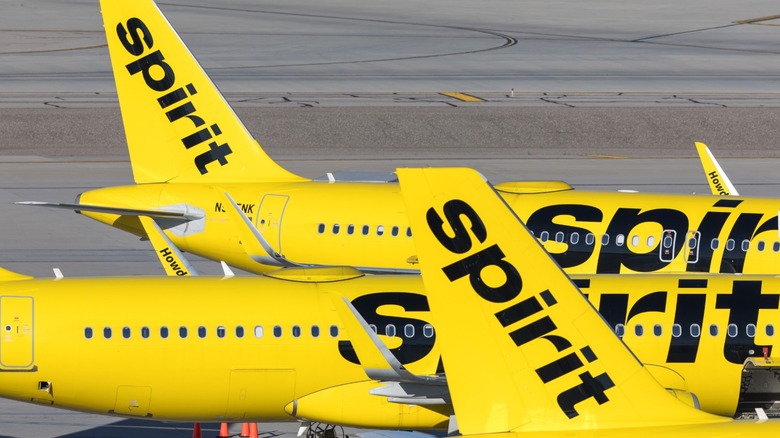 Spirit Airlines planes sitting unused on a tarmac with their bright yellow livery