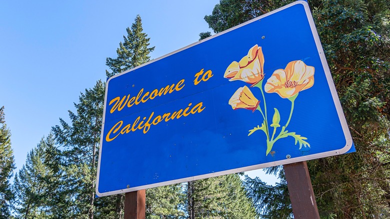Roadside "Welcome to California" sign with yellow lettering and poppy flowers against a backdrop of trees and blue sky