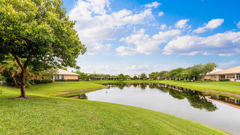 A Florida neighborhood on a sunny day