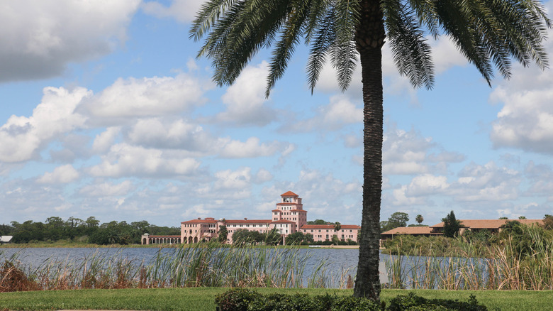 A grand pink building across a lake beyond a palm tree