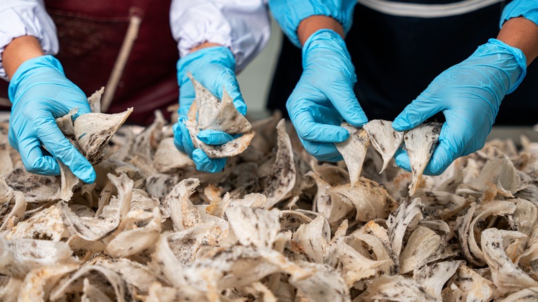 Swallow's nests with hands