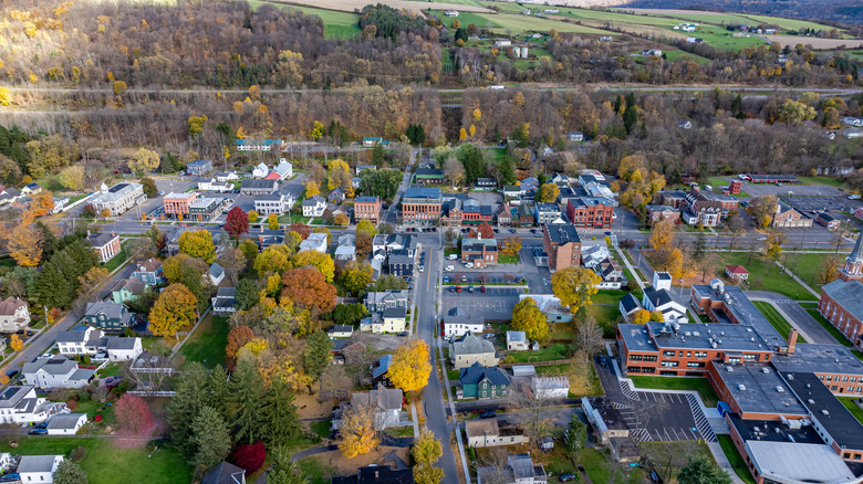 Aerial photo of fall foliage surrounding the Village of Homer, Cortland County, New York