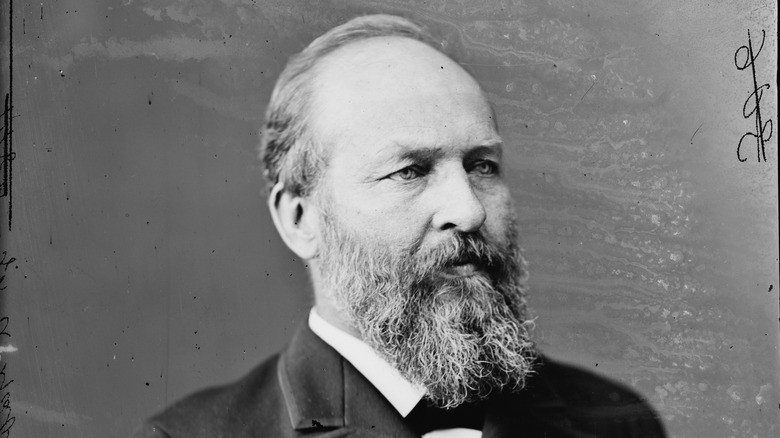 Portrait of James A. Garfield (1831 - 1881), the 20th president of the United States of America, late nineteenth century.