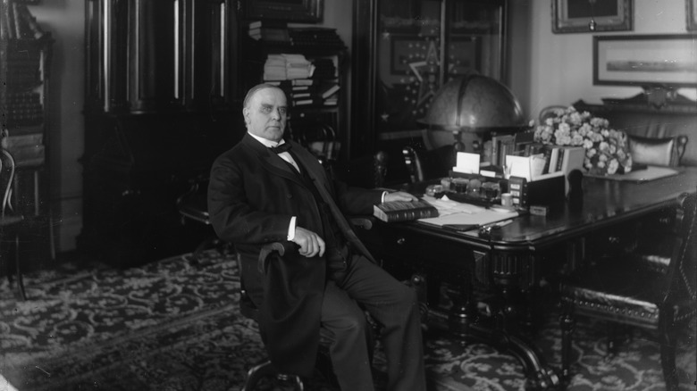 Portrait of William McKinley (1843-1901), the twenty-fifth President of the United States.