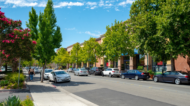 A line of cars and storefronts in Walnut Creek, California