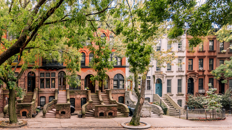 Brooklyn brownstone homes on a treelined street in New York City.