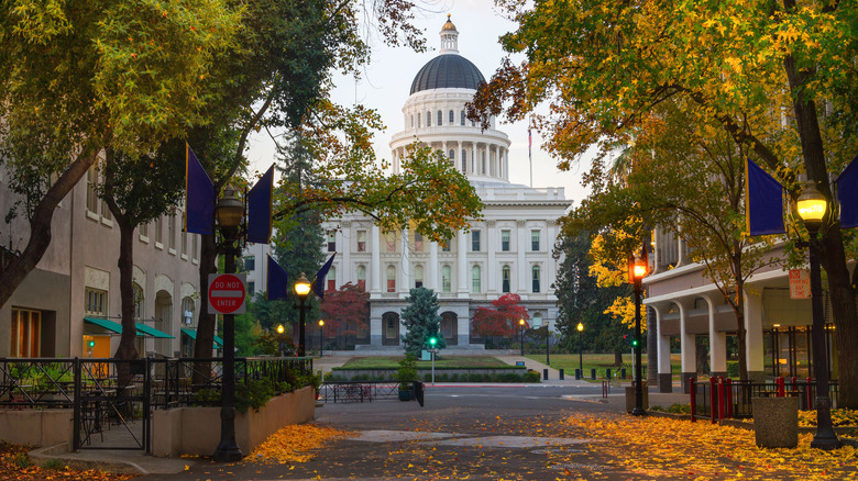 A tree-lined street in Sacramento leading up to the Capital Building.