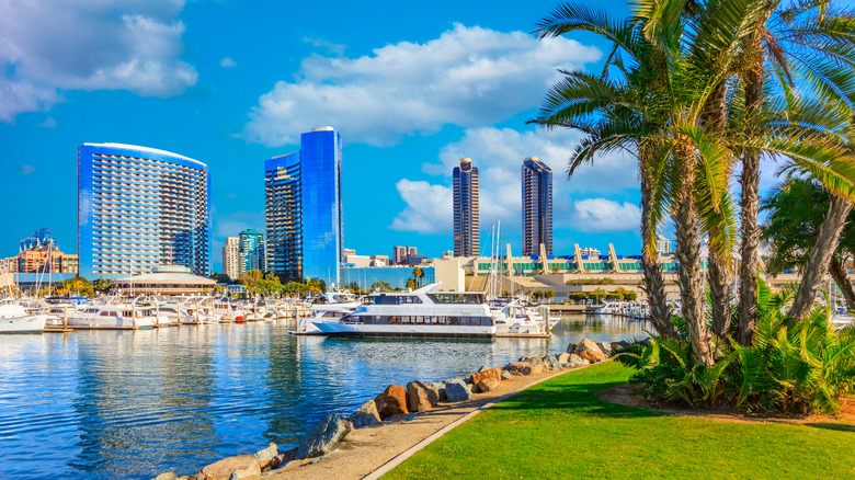 A lawn with palm trees along the San Diego harbor with boats and buildings in the background.
