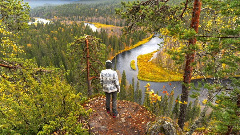 Rear view of a young woman enjoying the wilderness landscape of a river flowing in the forest, Oulanka national Park, Finland.