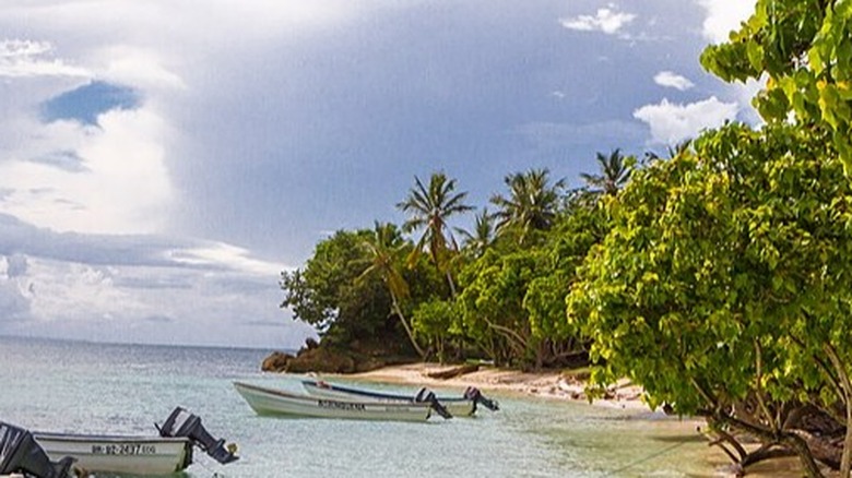 A beach in the Dominican Republic