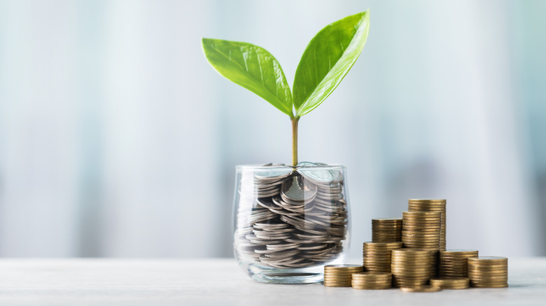 coins in a cup with seedling growing out the top