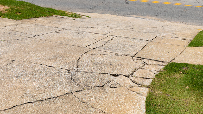 a cracked driveway