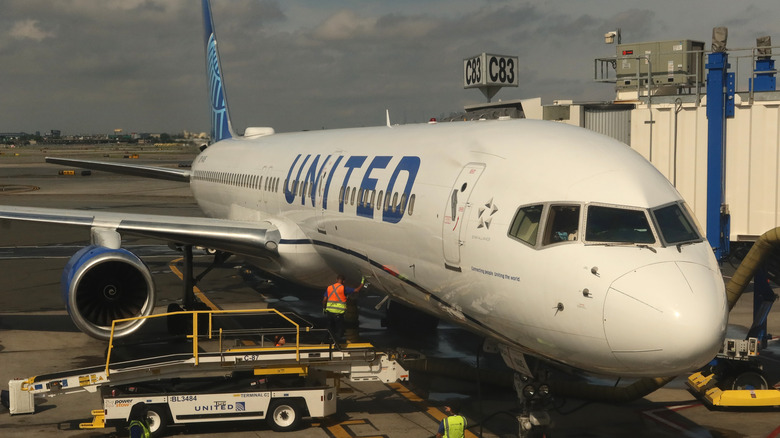 A United Airlines airplane is serviced at a gate at Newark Liberty International Airport