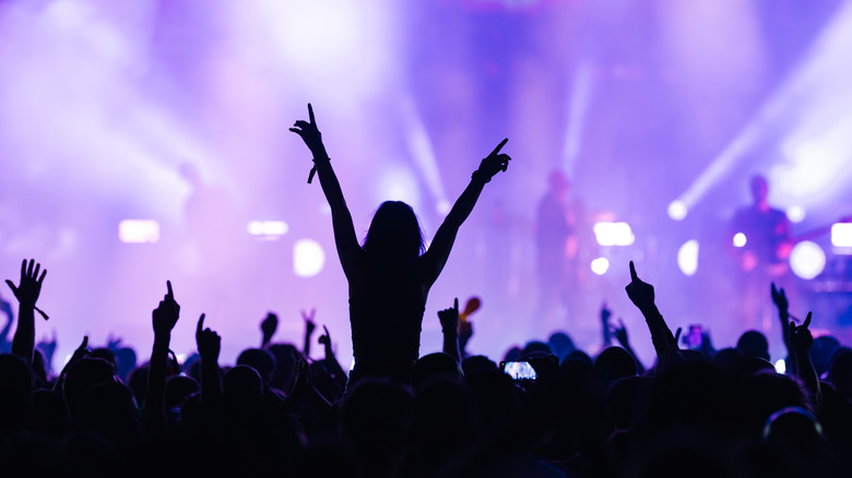 a crowd watching a band perform