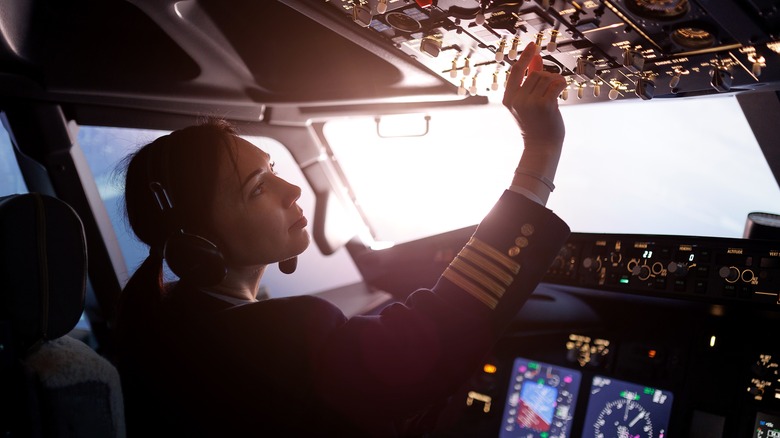 Commercial airline pilot.