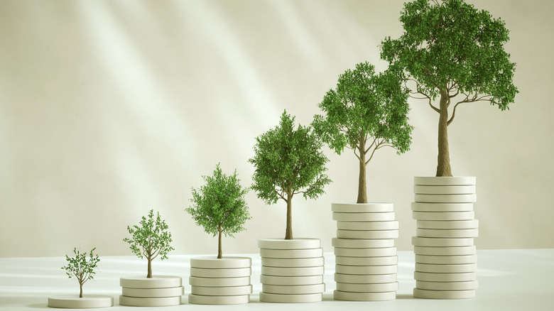 Trees growing on stacked coin chips