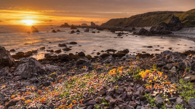 Point St. George Beach in Crescent City, California