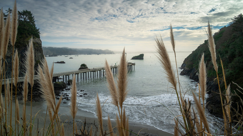 Fishing pier in Trinidad, California