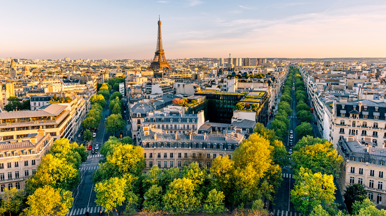 Sunset aerial view of Eiffel Tower and surrounding Parisian cityscape
