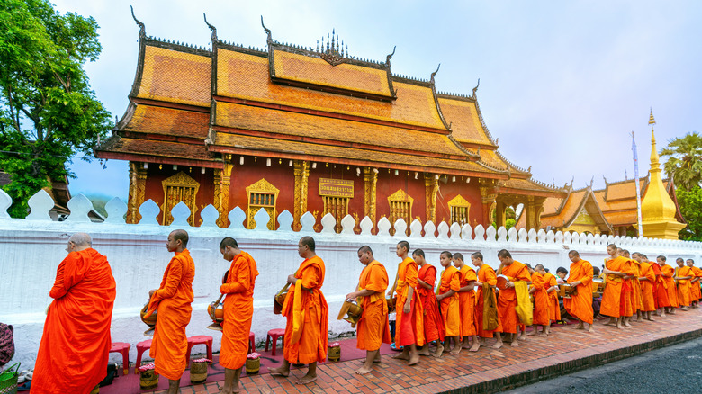 Buddhist monks receiving alms during the morning in Luang Prabang, Laos.