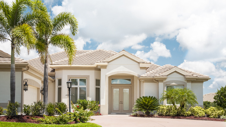 New home with palm trees in front