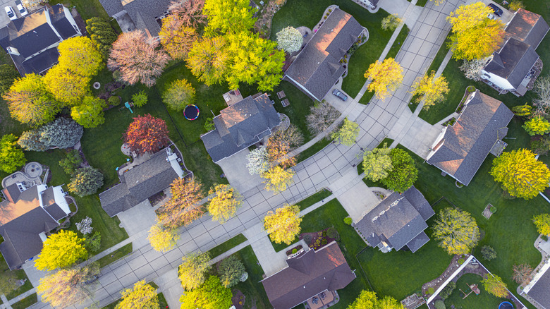 An overhead shot of a suburban neighborhood with the leaves starting to change