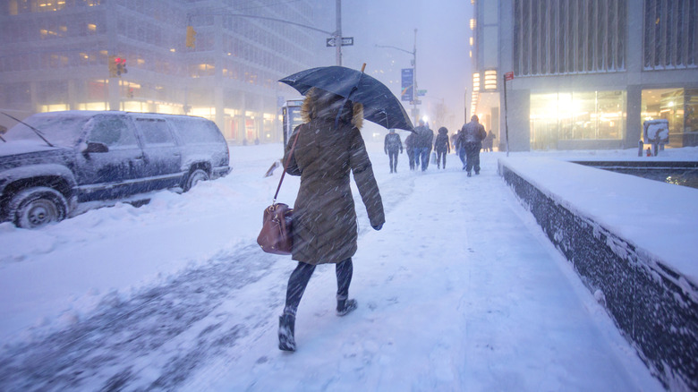 Manhattan is shut down by a blizzard