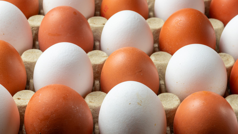 Brown and white eggs in a carton