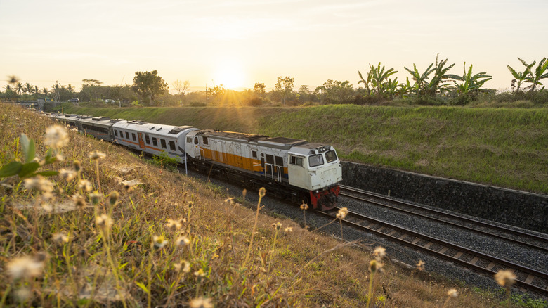 Train in country side.