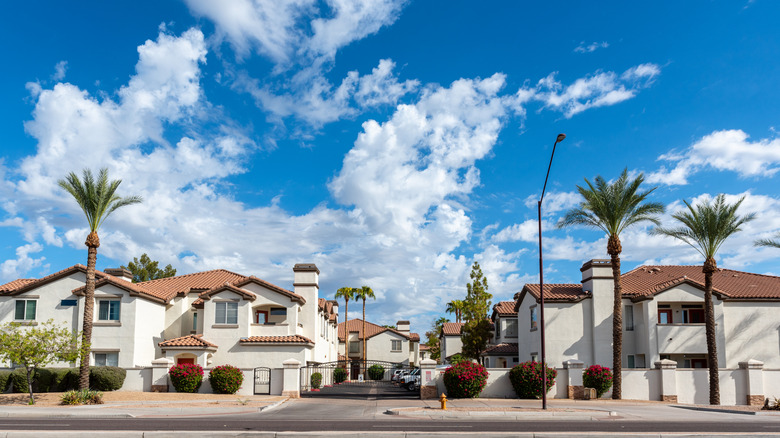 A lot of homes in Arizona bordered by trimmed palm trees and a beautiful sky.