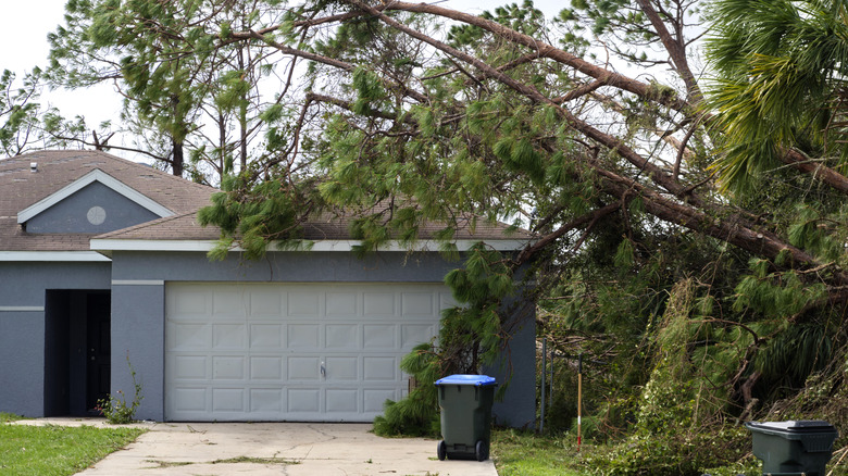 Tree falling onto blue house