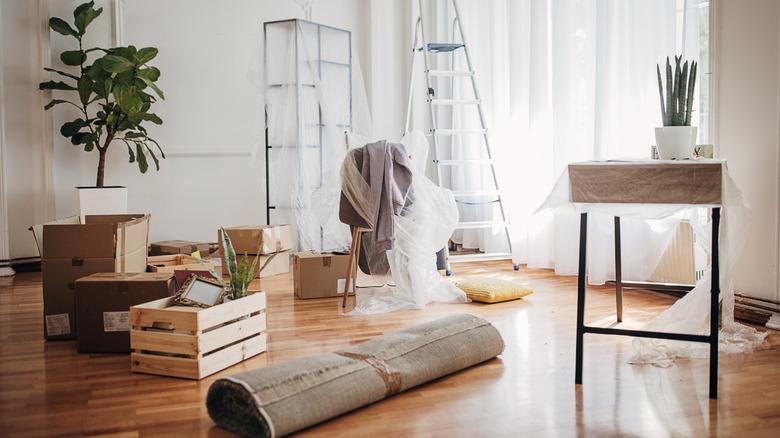 Room with moving boxes, covered furniture, plants, a rolled rug, and a ladder during a home move or renovation