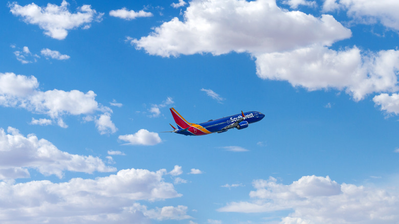 A Southwest plane in flight on a sunny day