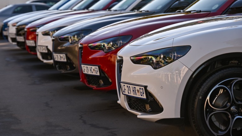 A row of parked Alfa Romeo Stelvio SUVs