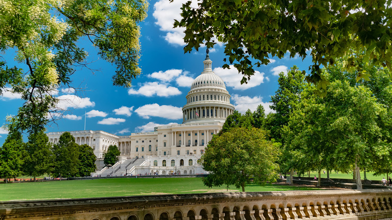 The U.S. Capitol building on a sunny blue day, framed by green trees and a concrete fence.