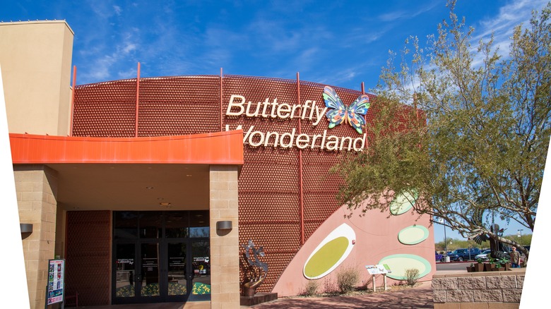 The Butterfly Wonderland at the Arizona Boardwalk in Scottsdale Arizona USA