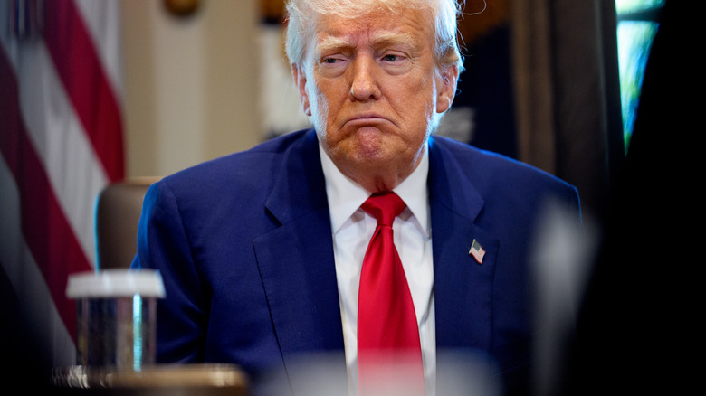 President Donald Trump at cabinet meeting in April 2025