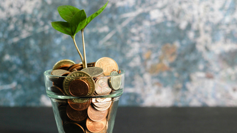 Green plant in clear glass pot filled with coins