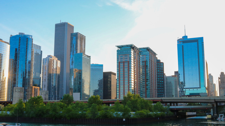 Row of high rises in Chicago Illinois