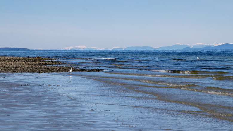 Qualicum Beach, nearby Parksville, BC, with the sea and snow-capped mountains in the background