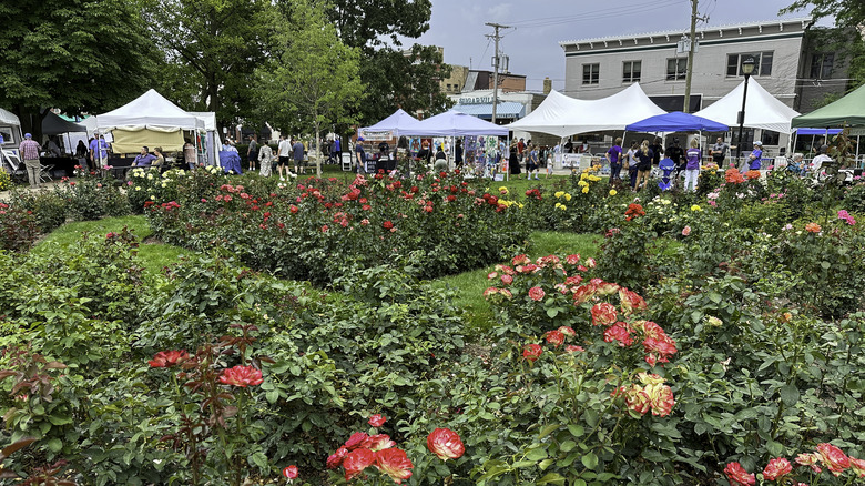 An outdoor festival taking place in Cook Park in Libertyville, IL.