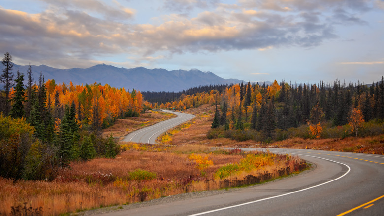 Denali National Park in autumn colors