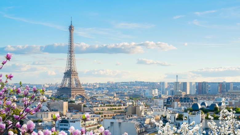 landmarks of Paris, famous Eiffel Tower and Paris roofs
