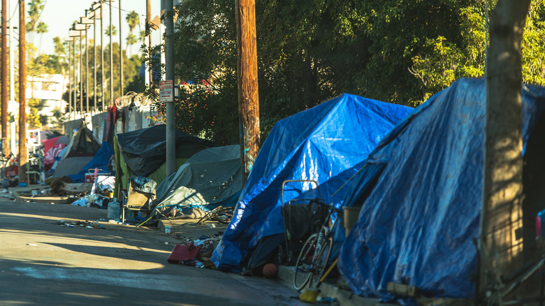 A homeless encampment along a road