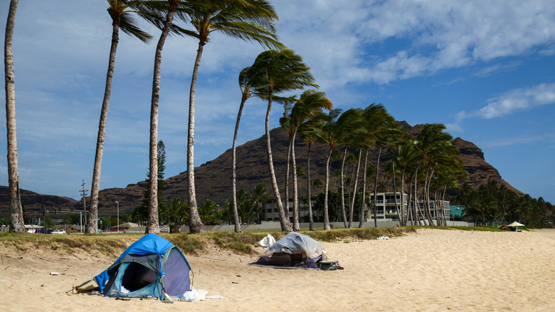 A homeless tent encampment on a beach