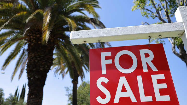 A red for sale sign in front of a large palm tree.
